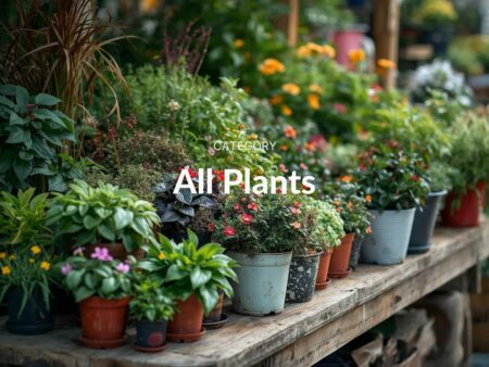 All Plants