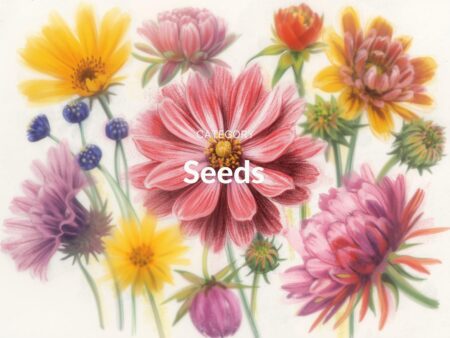 Seeds